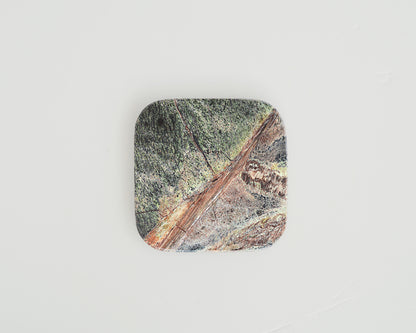 RAINFOREST COASTERS - GREEN